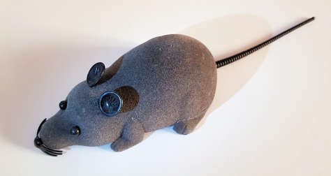 עכבר עם שלט - פלסטיקה חיצונית (השאר פורק לפני הצילומים...)
