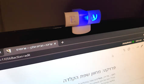 מחוון השפות בפעולה